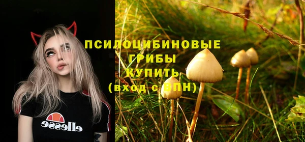 герыч Богородицк