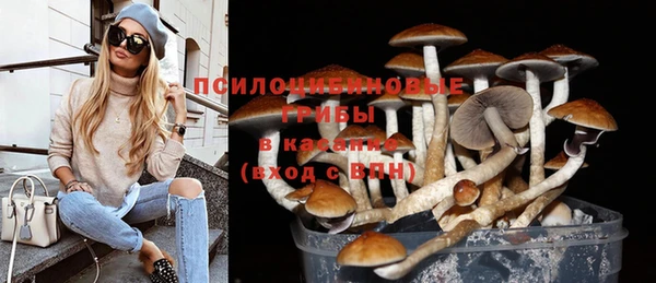 герыч Богородицк