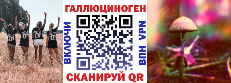 Псилоцибиновые грибы мицелий  закладки  Шахты 